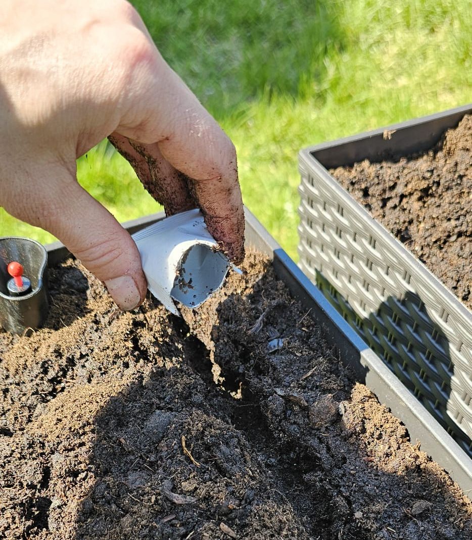 Vysévání bylinek 2